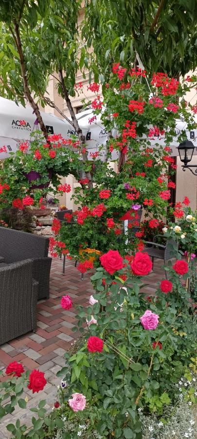 Hotel Casa Domneasca Rarau Kimpulung Mołdawski Zewnętrze zdjęcie