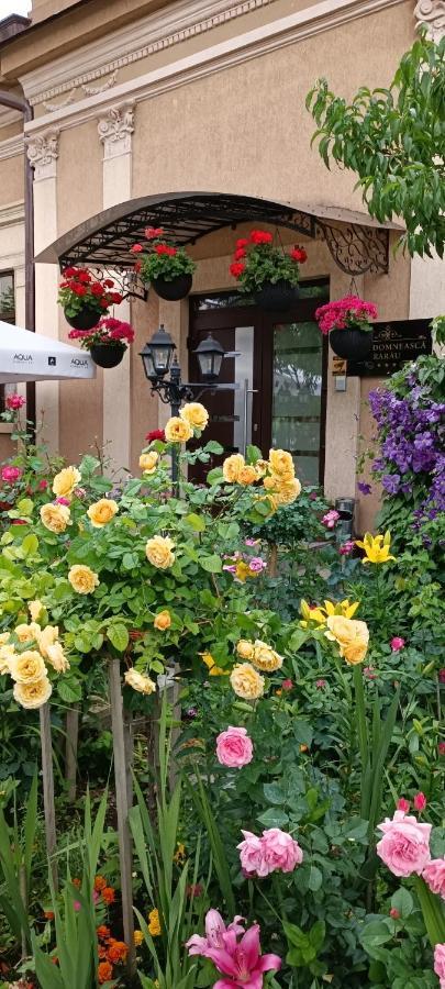 Hotel Casa Domneasca Rarau Kimpulung Mołdawski Zewnętrze zdjęcie